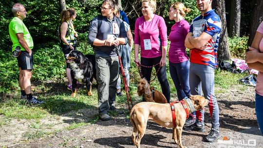 Dogtrekking na 368 psich łap