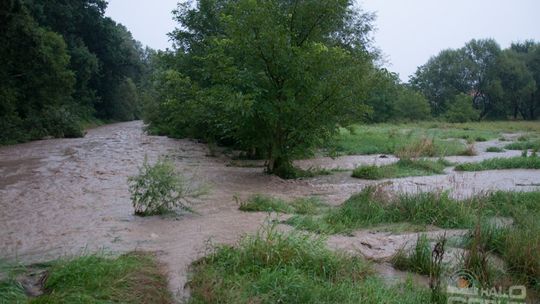 2014/08.07-gorlice-zalane