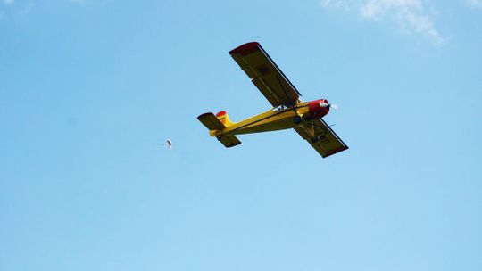 2014/08.29-pomnik-krzywa