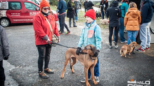 2015/01.11-Adrian-dog-treking-lodowisko