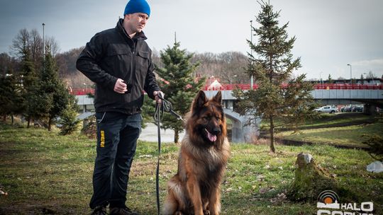 2015/01.11-Adrian-dog-treking-lodowisko