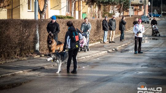 2015/01.11-Adrian-dog-treking-lodowisko