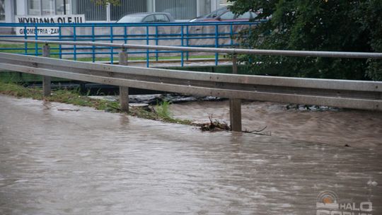 2014/08.07-gorlice-zalane