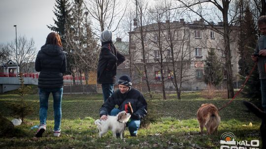 2015/01.11-Adrian-dog-treking-lodowisko