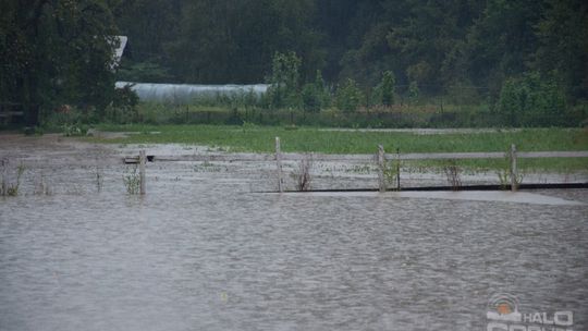 2014/08.07-gorlice-zalane