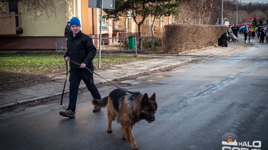 2015/01.11-Adrian-dog-treking-lodowisko