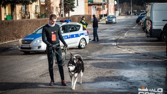 2015/01.11-Adrian-dog-treking-lodowisko