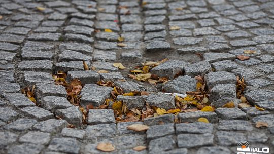 2014/10.08-kostka-rynek