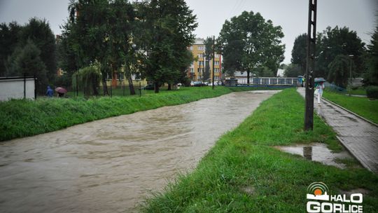 2014/08.07-gorlice-zalane