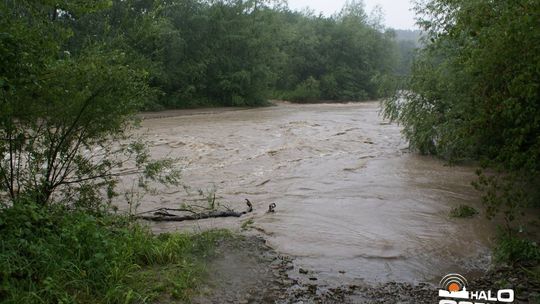 2014/07.12-zdjecia-czytelnikow