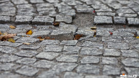 2014/10.08-kostka-rynek