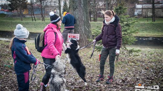 2015/01.11-Adrian-dog-treking-lodowisko