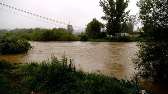 2014/07.12-zdjecia-czytelnikow