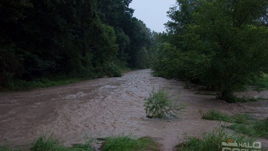 2014/08.07-gorlice-zalane