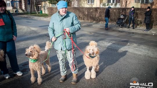 2015/01.11-Adrian-dog-treking-lodowisko