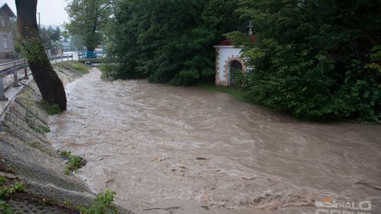 2014/08.07-gorlice-zalane