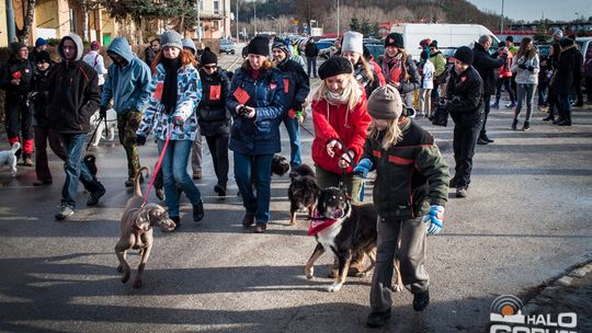 2015/01.11-Adrian-dog-treking-lodowisko