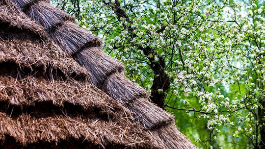 2014/05.01-skansen-starocie