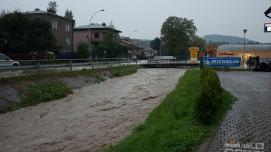 2014/08.07-gorlice-zalane