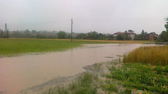 2014/07.12-zdjecia-czytelnikow