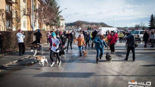 2015/01.11-Adrian-dog-treking-lodowisko