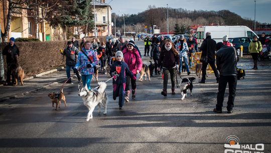 2015/01.11-Adrian-dog-treking-lodowisko