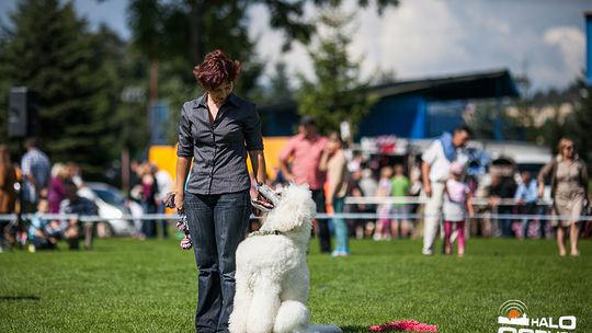 2014/08.17-psy-jacek