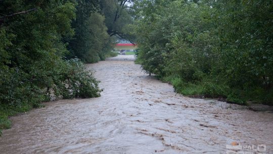 2014/08.07-gorlice-zalane