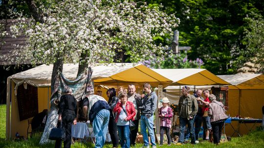 2014/05.01-skansen-starocie