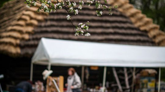 2014/05.01-skansen-starocie