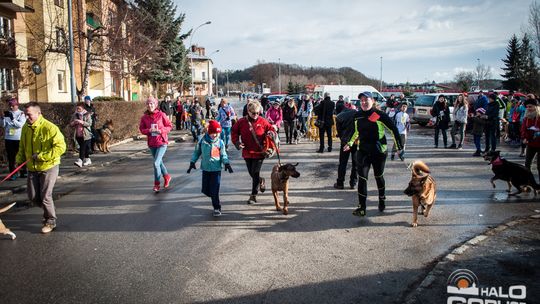 2015/01.11-Adrian-dog-treking-lodowisko