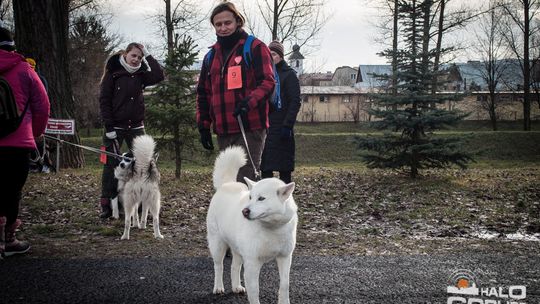 2015/01.11-Adrian-dog-treking-lodowisko