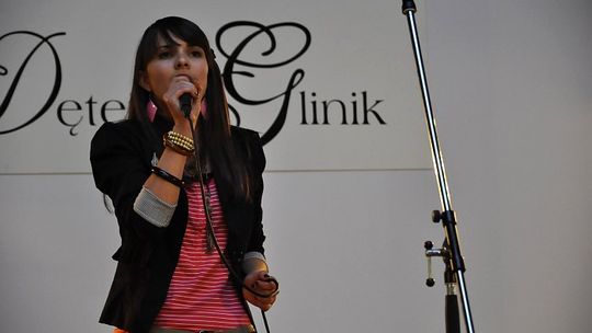 2011/VIpiknik