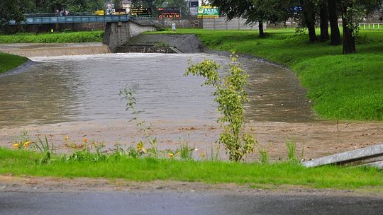 2011/Nawalnica_8.07.2011