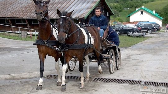 2013/05.26-regietow1