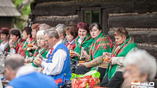 2013/05.12-piknik_skansen