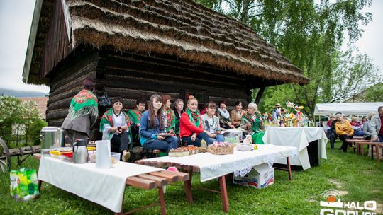 2013/05.12-piknik_skansen