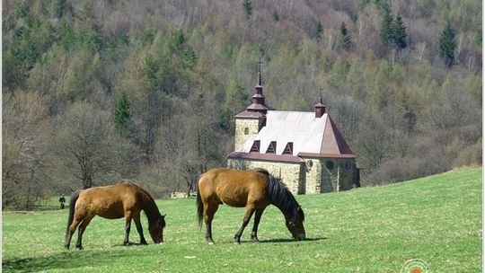 2013/06.01_szlaki