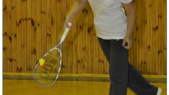 2011/12.03-speedbadminton