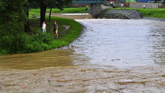 2011/Nawalnica_8.07.2011