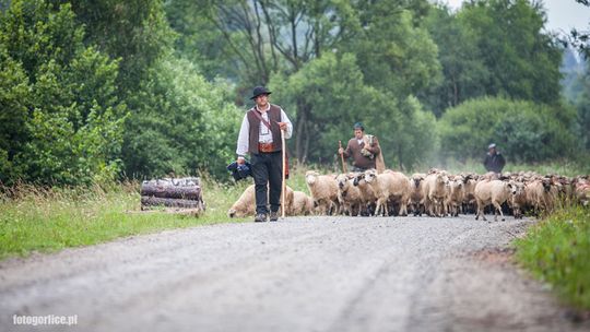 2013/07.20-redyk-radocyna-zdynia