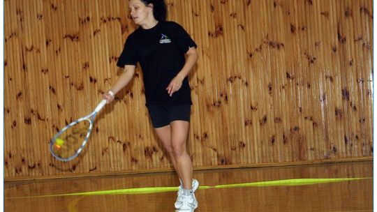 2011/12.03-speedbadminton