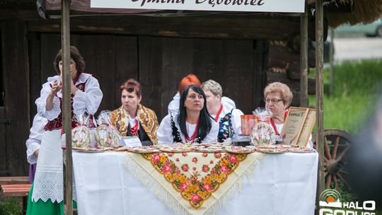 2013/05.12-piknik_skansen