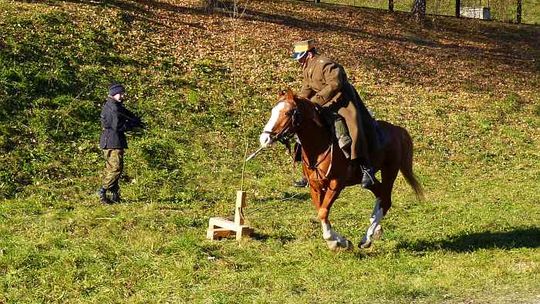 2011/11.11-niepodlegla-powiat