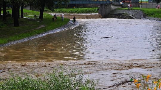 2011/Nawalnica_8.07.2011