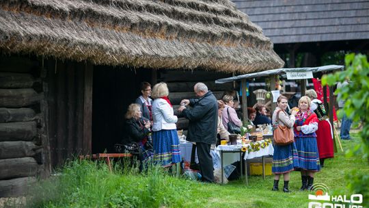 2013/05.12-piknik_skansen