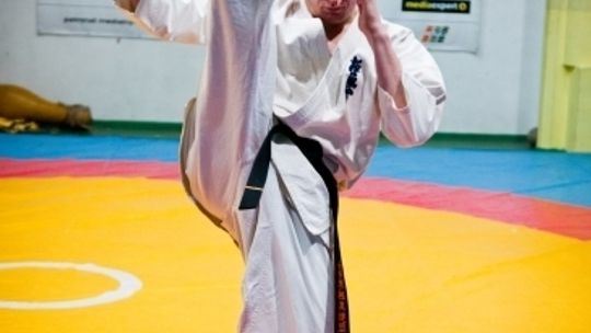 2013/02.01_karate