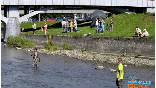 2012/06.17-dni-gorlic2-bero