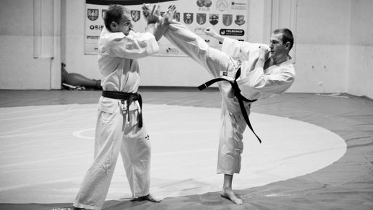 2013/02.01_karate