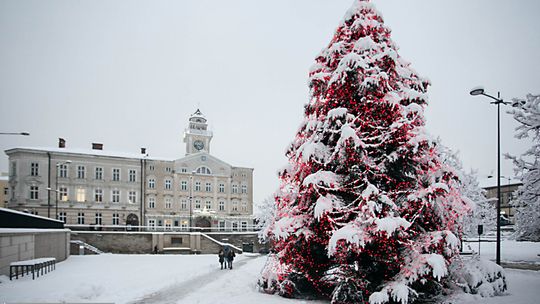 2013/01.18_zimarynekjacek